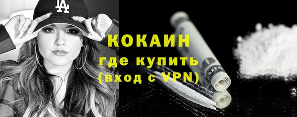 PSILOCYBIN Бугульма
