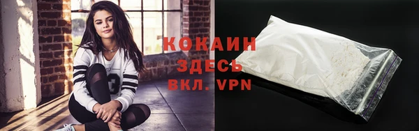 спиды Бородино