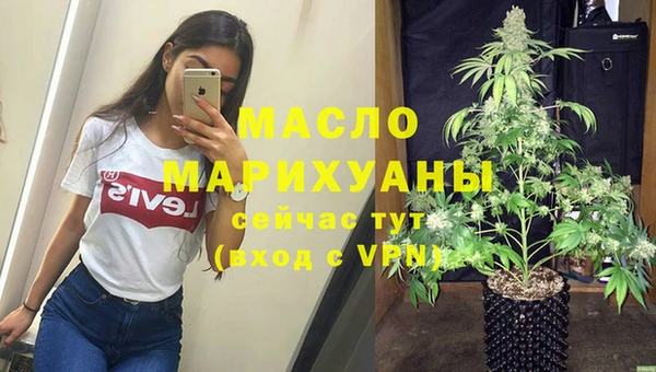 спиды Бородино