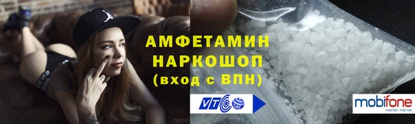 спиды Бородино