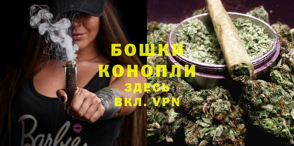 PSILOCYBIN Бугульма