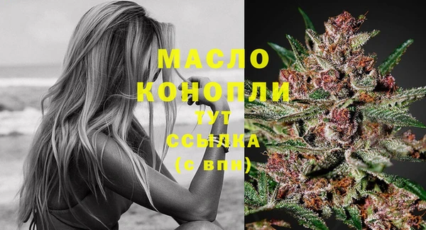 спиды Бородино
